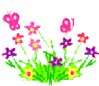 Little Flowers Little Flowers